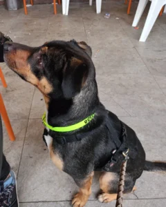 417384446 773012968203636 8673679931609721085 n