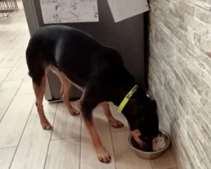 417396487 773012598203673 8881516666992349848 n