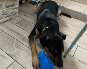 417405815 773012624870337 5815015331945217424 n