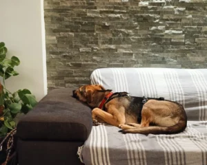 417411686 790821303089469 7689872009330837470 n