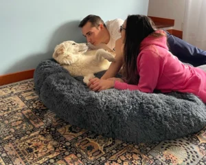 417431435 799465745558358 6626071475863490682 n