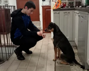 417432389 773012081537058 1857692074841910314 n