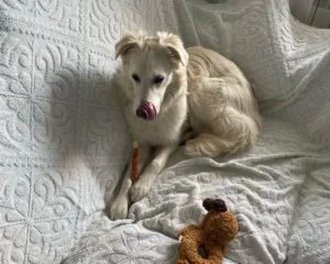 417445235 799466128891653 2654641632397833015 n