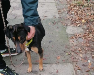 417452774 773012768203656 1045252932548055104 n