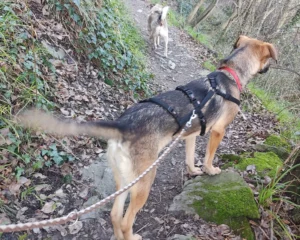 417465890 790821223089477 1703559857936427383 n