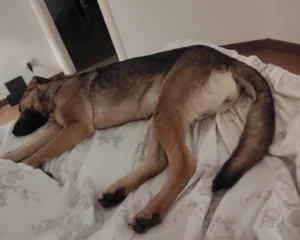 417469988 790821366422796 327005052113957523 n