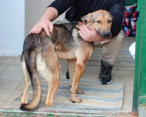 417471629 790820856422847 9135292291552729167 n