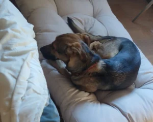 417474920 790821669756099 3939513999078968872 n