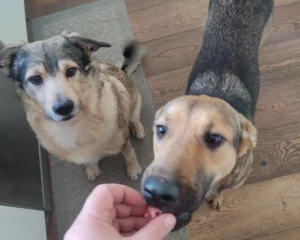 417476139 790821619756104 2029366429624434978 n