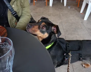 417476365 773012948203638 4771596719949453887 n