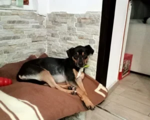 417480685 773012224870377 4823491232717642218 n