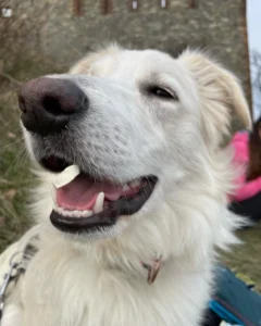 417486869 799465588891707 4537498869622655568 n