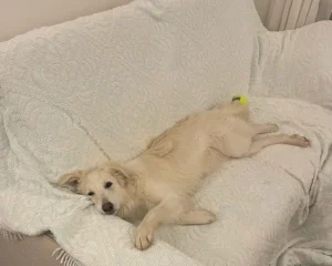 417503405 799466055558327 4197233972338122853 n