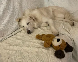 417507740 799465645558368 2081383547203224601 n