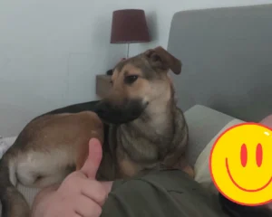 417534132 790821783089421 2997588868656899954 n