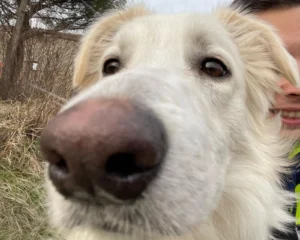 417557692 799466192224980 8724222825699893970 n