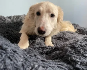 417578554 799465868891679 187518942167296799 n