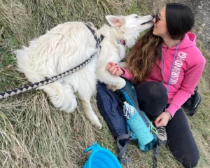 417681251 799465368891729 873683960340828342 n