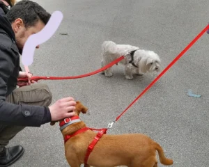 418810302 822782153226717 8049306884375914106 n