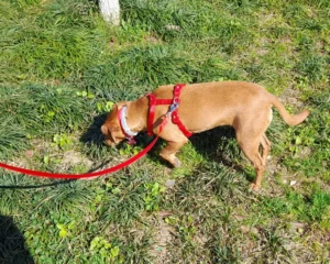 418986586 822782433226689 2229521598566540685 n