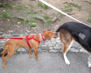 419067155 822782336560032 4403792122728377613 n