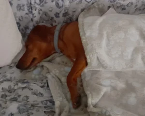 419488175 822781859893413 4914151933783545598 n