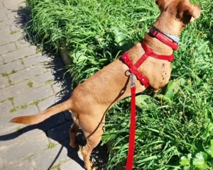 419567613 822782289893370 462437968217415056 n