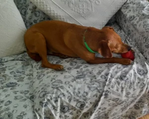 420177633 822781983226734 954450263346250713 n