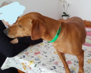 420191035 822782499893349 190879918873671278 n