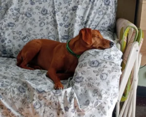 420262696 822781926560073 9189171339190431337 n