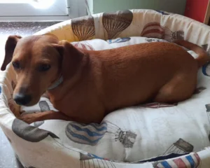 420397623 822782023226730 3593060241867098043 n