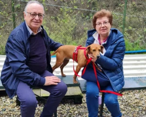 420405019 822781649893434 5298426625111973701 n