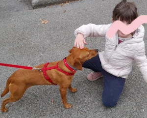 420419676 822782216560044 8393032162120191492 n