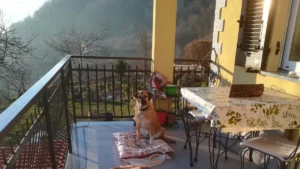 719711 776978473851427 1619372142411071404 n