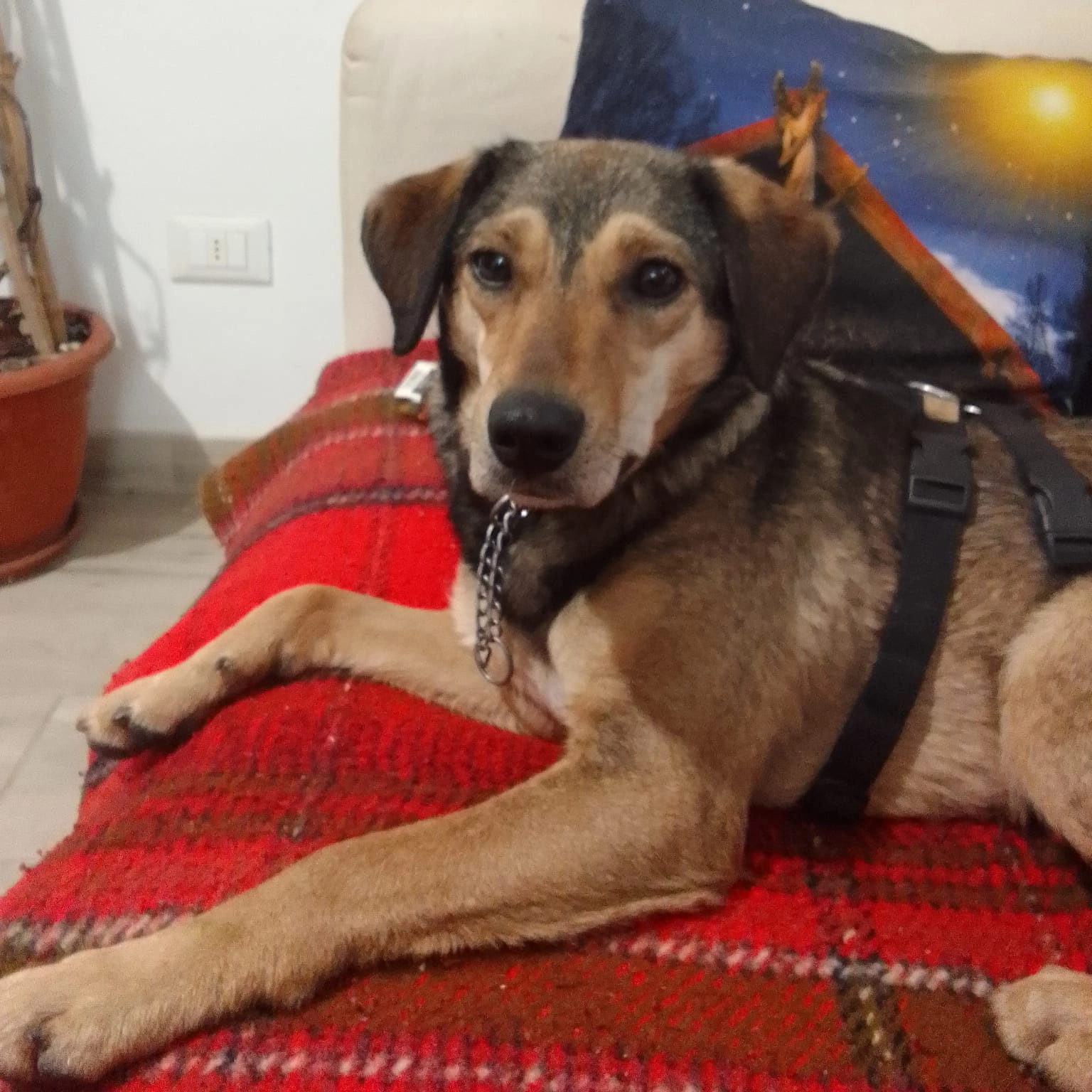 839419104872 7994235494875104972 n