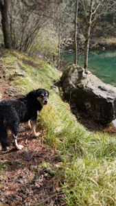 Immagine WhatsApp 2024 04 30 ore 14.58.16 56f7ecf7