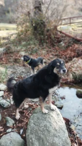 Immagine WhatsApp 2024 04 30 ore 14.58.37 537c0cc3