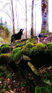 Immagine WhatsApp 2024 04 30 ore 14.58.37 587a67a0