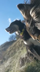 Immagine WhatsApp 2024 04 30 ore 15.09.59 3f9c06df