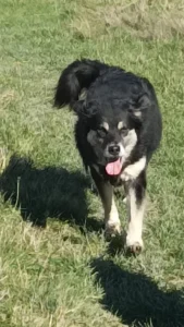 Immagine WhatsApp 2024 04 30 ore 15.10.11 0b4c3866