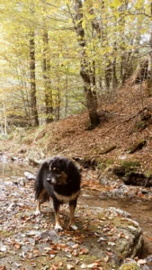 Immagine WhatsApp 2024 04 30 ore 15.10.46 1072c