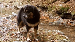 Immagine WhatsApp 2024 04 30 ore 15.10.46 1072ce30