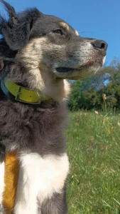 Immagine WhatsApp 2024 04 30 ore 15.11.01 814d4d37