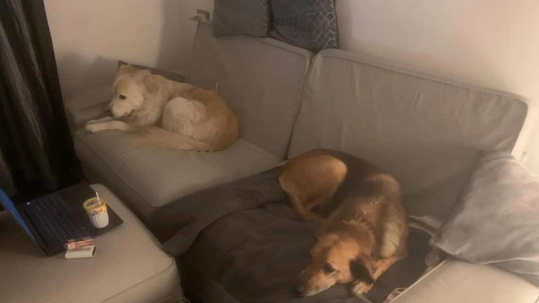 facebook 1714478184302 7191042706330798209