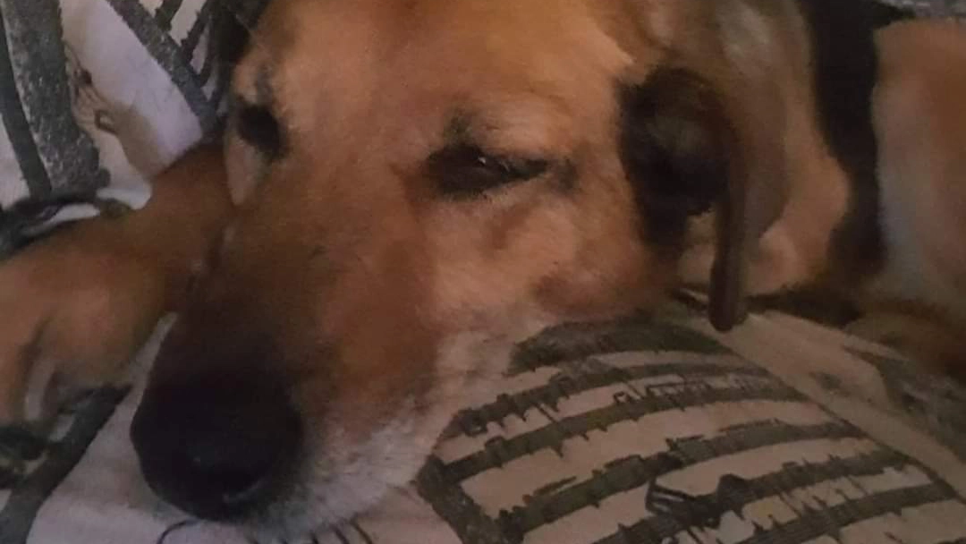 facebook 1714478236360 7191042924680878829