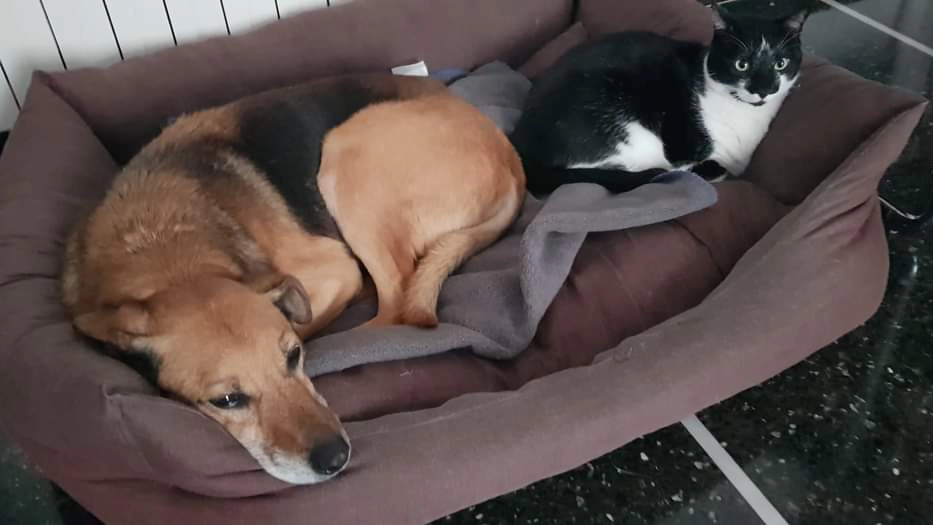 facebook 1714478267330 7191043054578906723