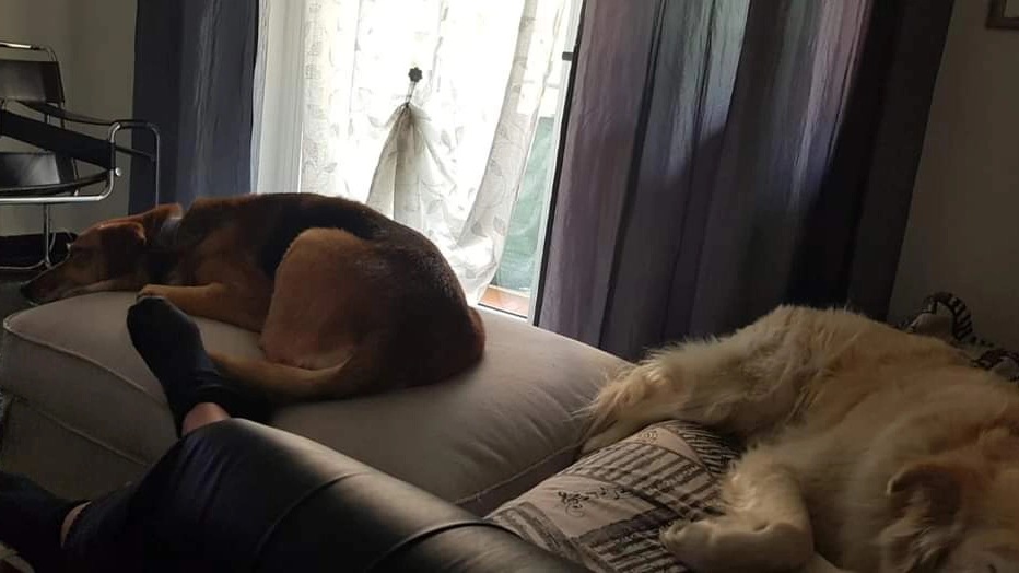 facebook 1714478290865 7191043153288769842