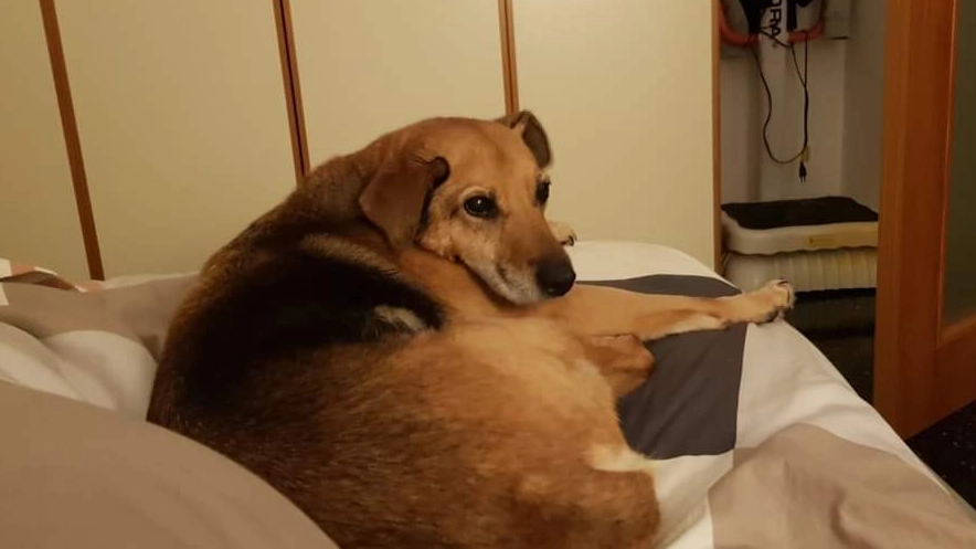 facebook 1714478306486 7191043218809353081