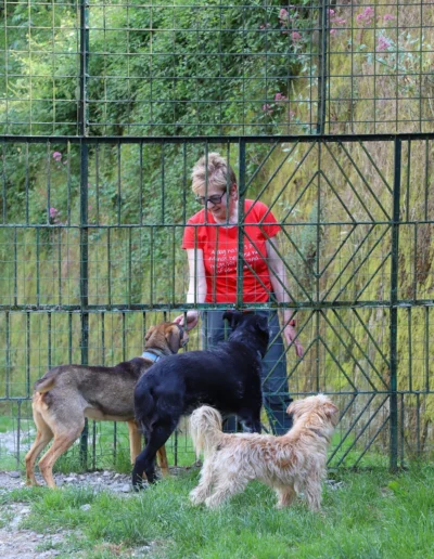 Volontaria con tre cani