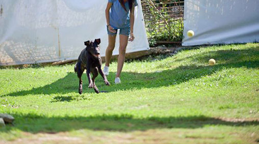 res950532_fit_508x282_0MC2210x886x9090x7789x2